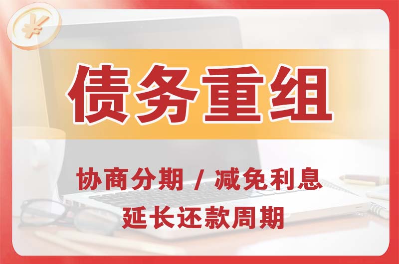 龙感湖债务重组