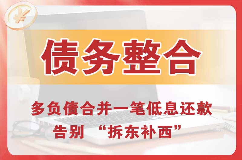 龙感湖债务整合