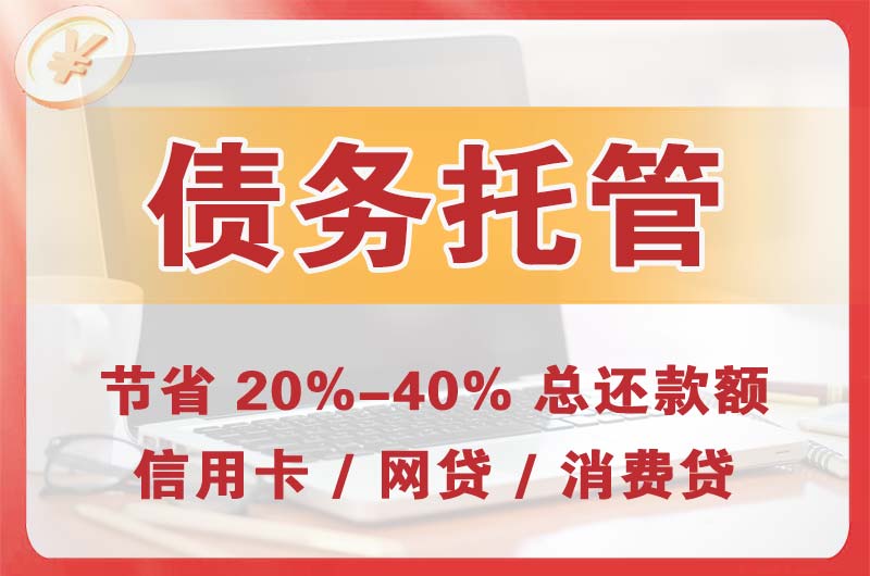 龙感湖债务托管